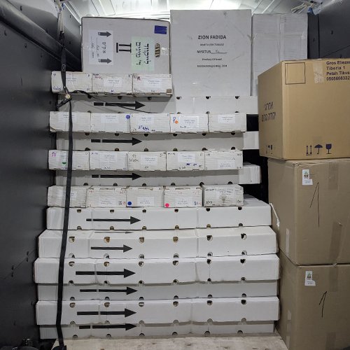 Image B&G Junk Removal Services