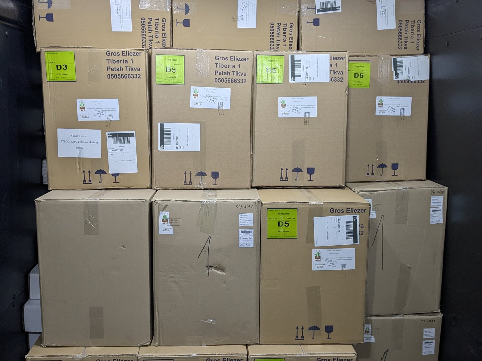 B&G Junk Removal Services