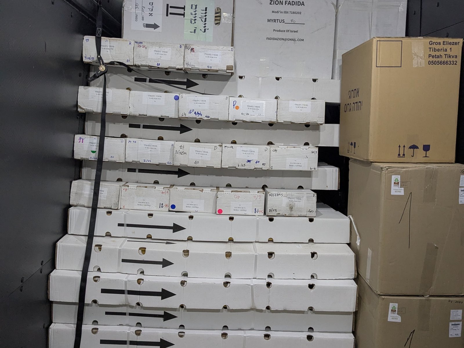 B&G Junk Removal Services