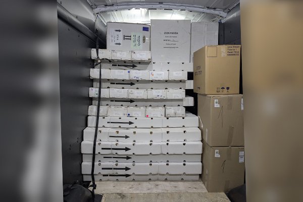 Image B&G Junk Removal Services